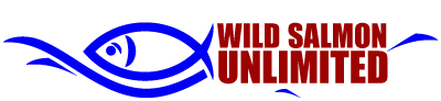 Wild Salmon Unlimited — From the wild to the wild