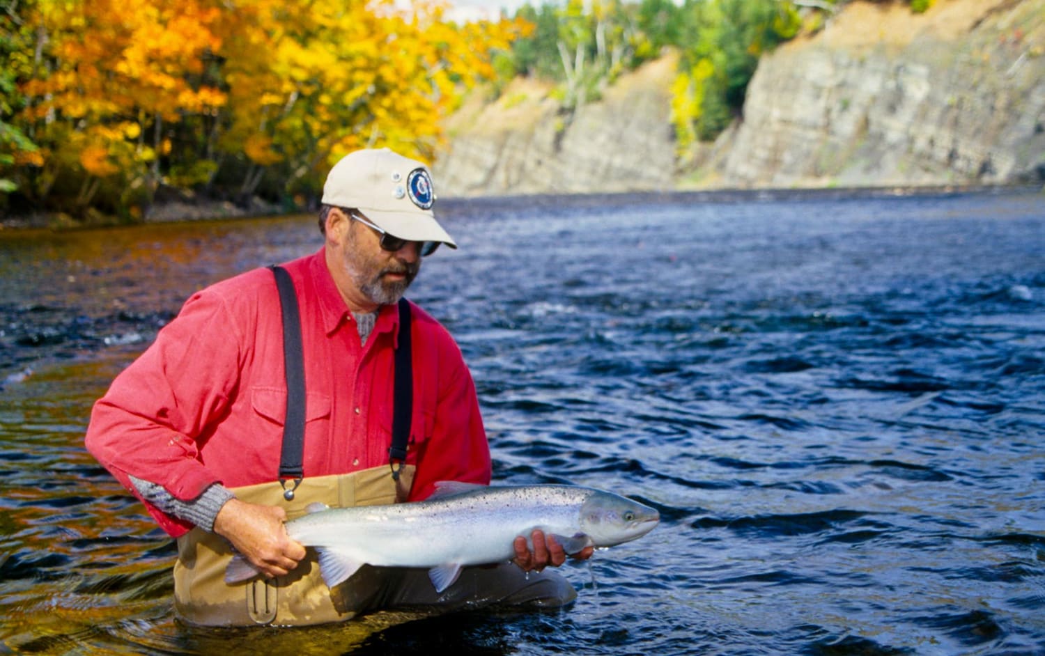 A wild Atlantic salmon held at the water's edge before release